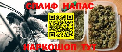 дмт Новодвинск