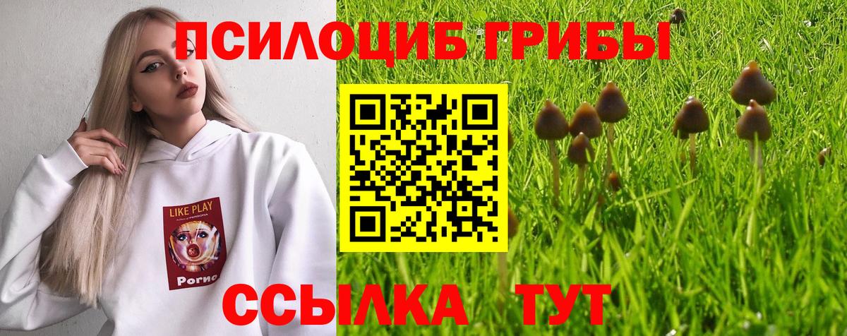 Галлюциногенные грибы MAGIC MUSHROOMS  Псилоцибиновые грибы Cubensis  Сосновоборск  Вход с VPN 