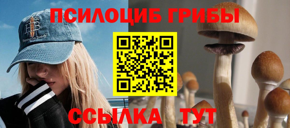 Галлюциногенные грибы мицелий Сосновоборск